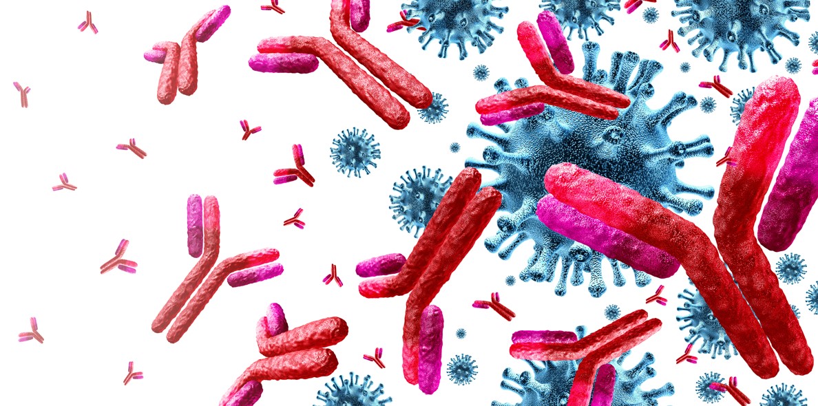 difference between antigen and antibody