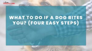 what-if-dog-bites-you