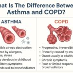 What Is The Difference Between Asthma and COPD