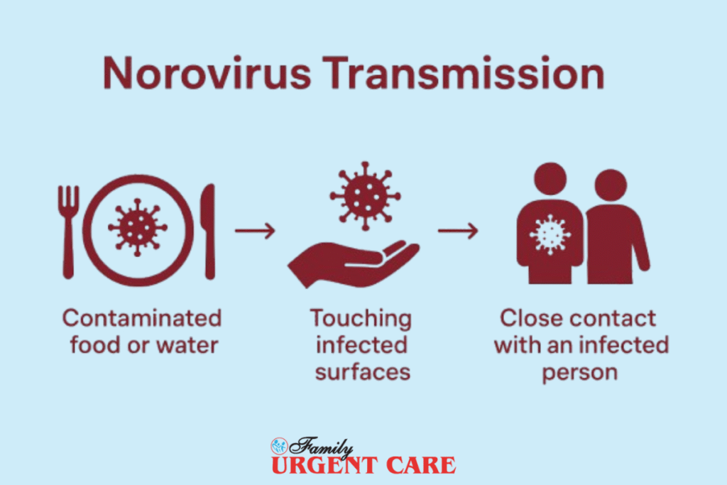 Norovirus Transmission Rules