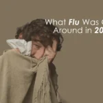 What Flu Was Going Around in 2025