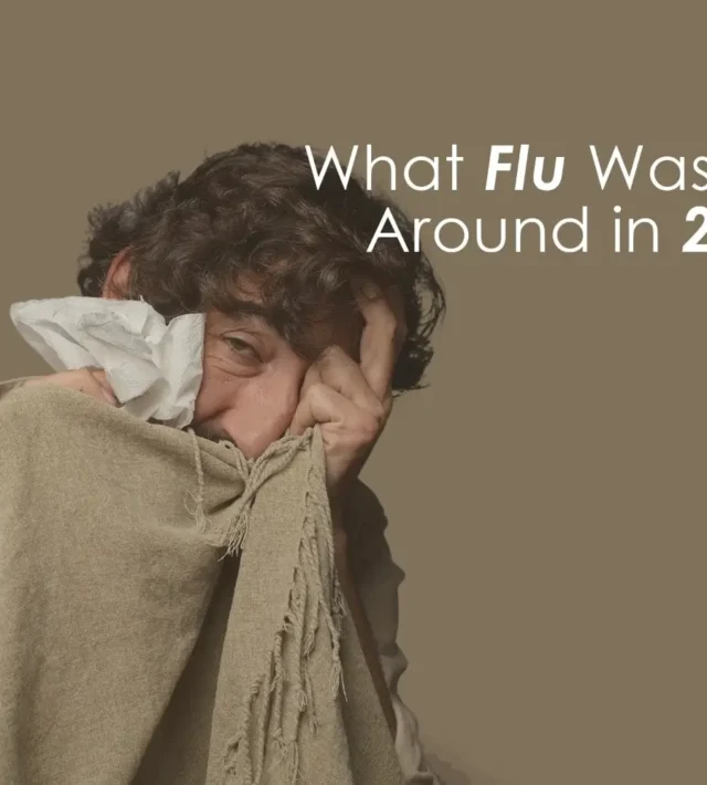 What Flu Was Going Around in 2025