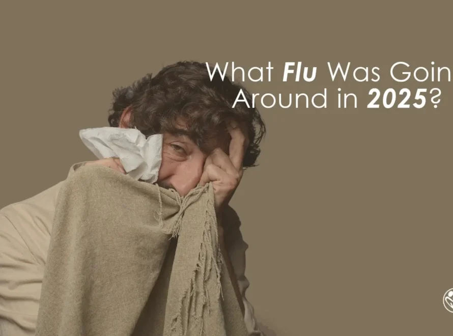 What Flu Was Going Around in 2025