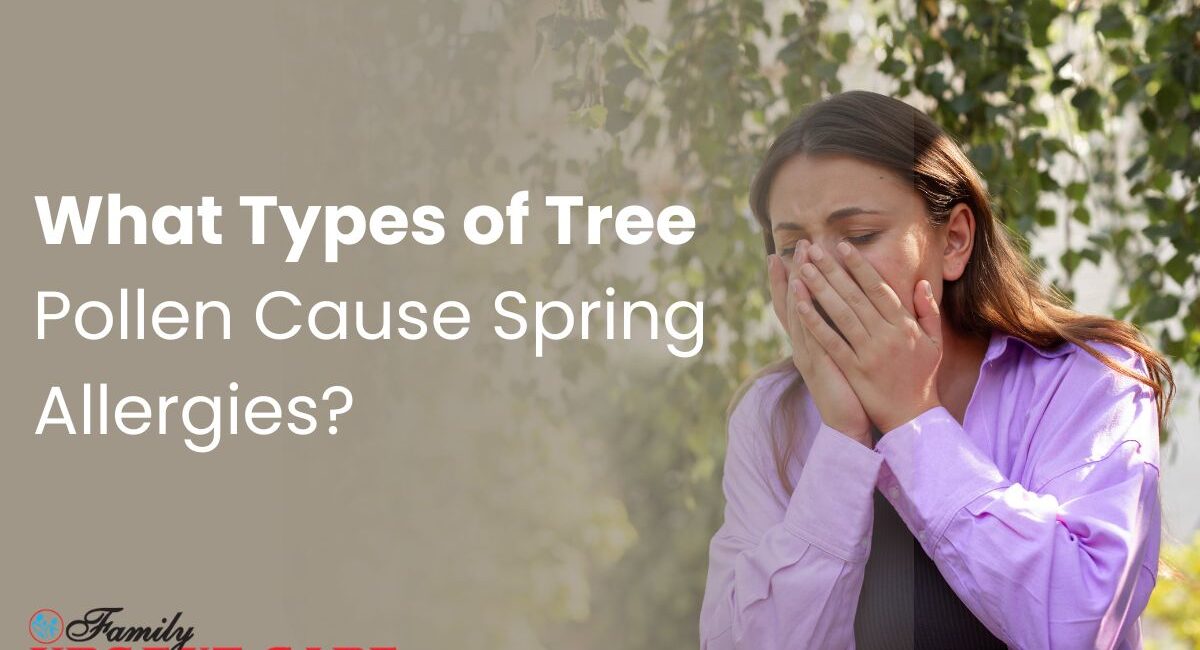 What Types of Tree Pollen Cause Spring Allergies
