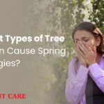 What Types of Tree Pollen Cause Spring Allergies