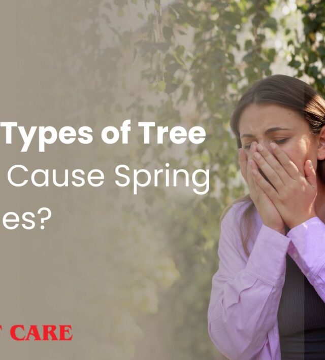 What Types of Tree Pollen Cause Spring Allergies