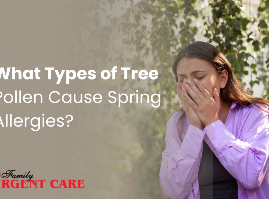 What Types of Tree Pollen Cause Spring Allergies