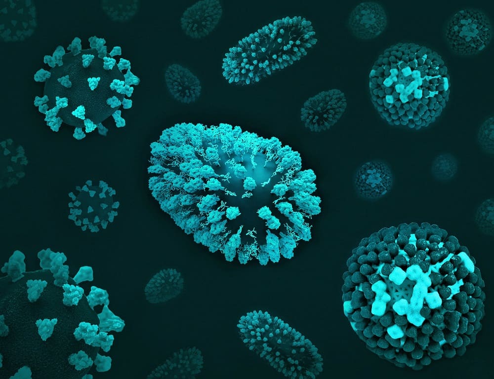 Types of Influenza Virus