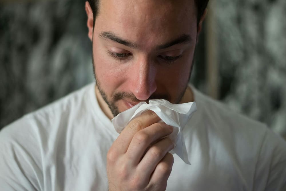 What is the Flu