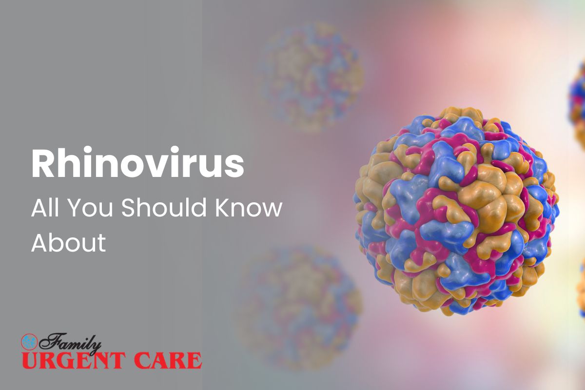 Rhinovirus What You Need to Know